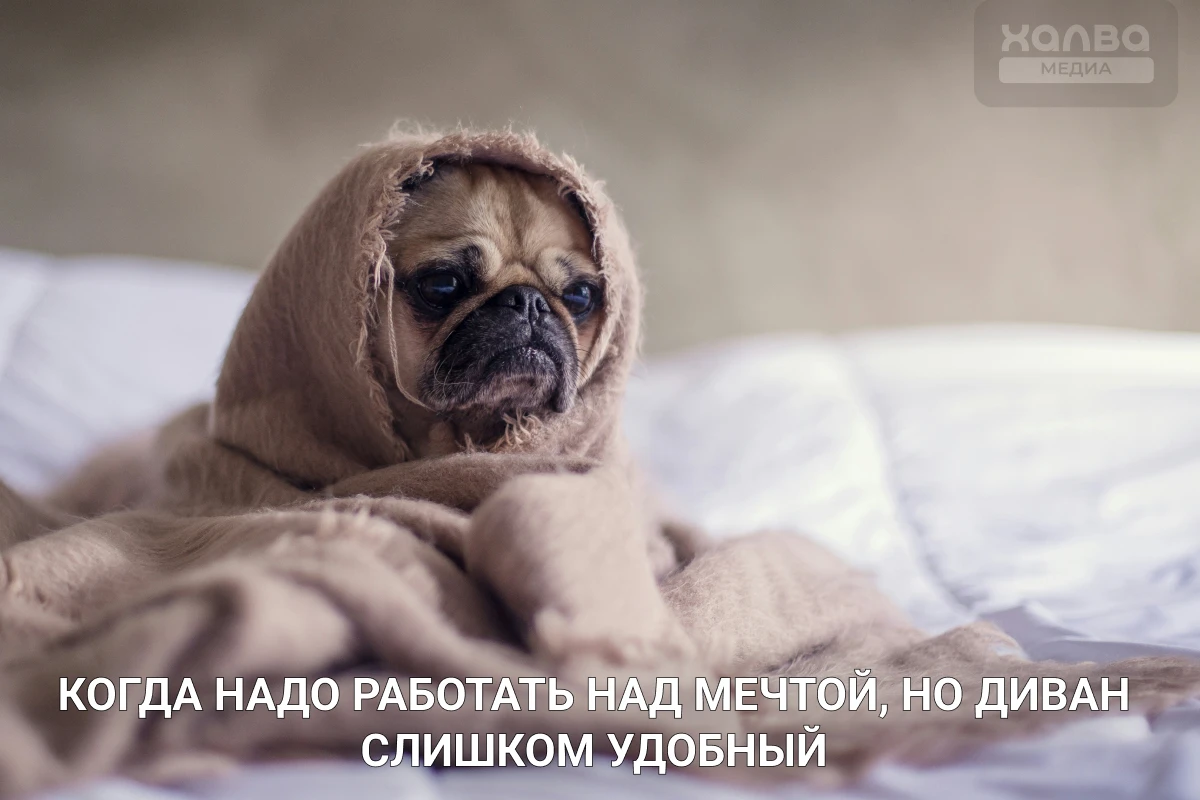 мечта и цель